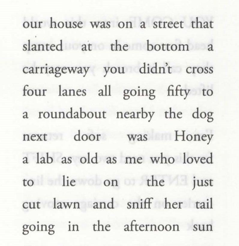 our house was on a street that 
slanted at the bottom a 
carriageway you didn't cross 
four lanes all going fifty to 
a roundabout nearby the dog 
next door was Honey 
a lab as old as me who loved 
to lie on the just 
cut lawn and sniff her tail 
going in the afternoon sun 